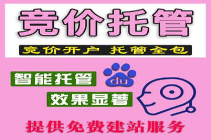 百度竞价广告运营技巧与案例分享